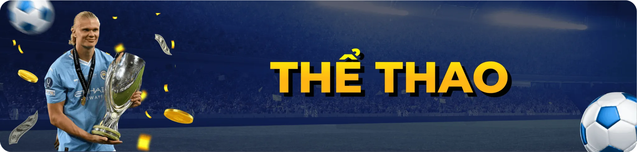 thethao